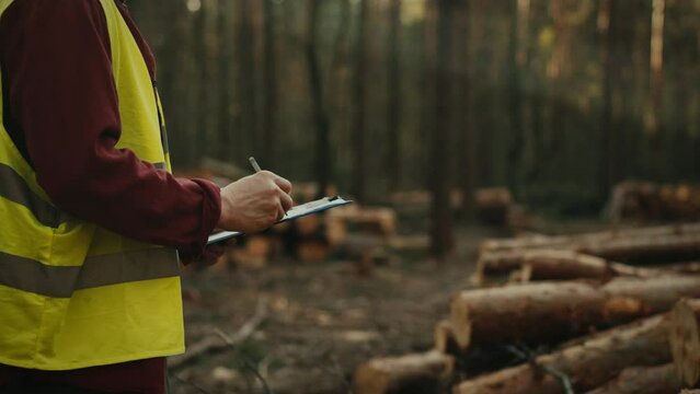 Forest resource engineer, holding tablet in his hands, conducts an audit of tree cutting and verifies data and deadlines for completing the wood cutting work plan. Sustainable use of natural resources