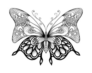 Hand drawn Butterfly illustration in stylish composition. coloring book page.