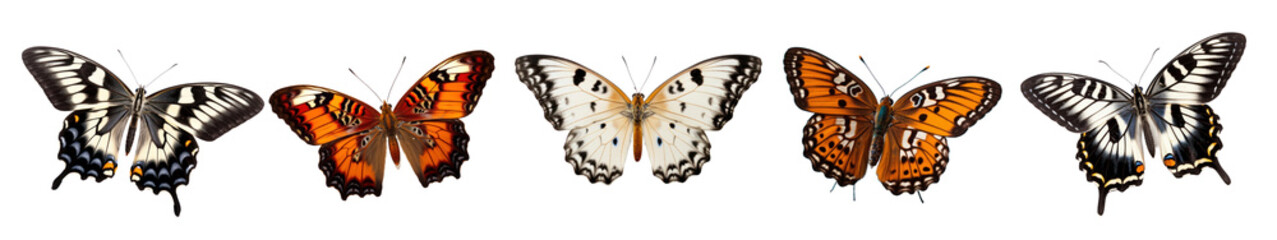 Fototapeta premium Butterflies png element set on transparent background