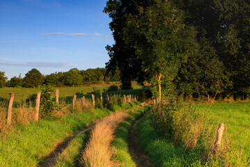 poranek © Christoph-fotografia