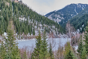 Scenic Kaindy lake ice-covered, surrounded by hillsides with green spruce and snow, Kazakhstan.