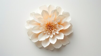 Delicate, handcrafted paper dahlia flower, intricately created from soft crepe paper, sits alone on a clean, white background, surrounded by subtle shadow and soft light.