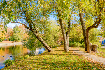 Freundschaftsinsel in Potsdam