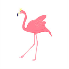 flamingo vector illustration