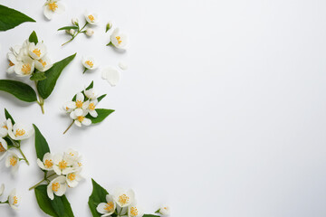 Jasmine flower with green leaf on white background. Top view, flat lay. Space for text.