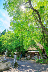 初夏の水堂安福寺 観音堂　佐賀県白石町　Mizudo Anpukuji Temple in early summer. Kannondo. Saga Pref, Shiraishi town.