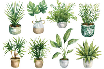 Obraz premium [Transparent Background PNG]Watercolor Set of Indoor Plants in Pots