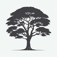 Majestic Mahogany, Silhouette of Nature's Grandeur