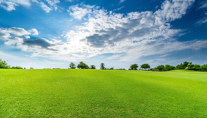 Obraz premium A square with blue skies and grass.