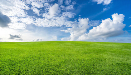 A square with blue skies and grass.