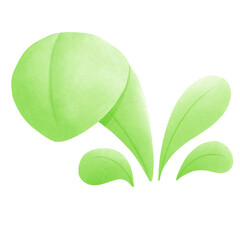Fototapeta premium green leaf 