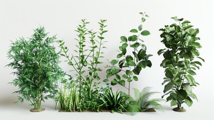 Obraz premium Collection of various green houseplants arranged in a row against a white background, showcasing different shapes and textures of foliage.