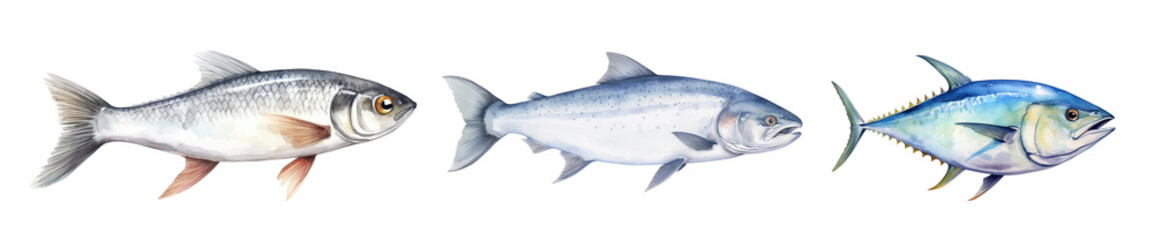Fototapeta premium diverse fish underwater animal set