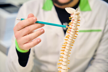 Doctor holding a model of the spine