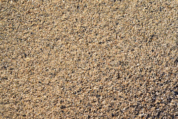 Fototapeta na wymiar The river sand is coarse-grained. Small pebbles of river sand. Macrophotography of sand.