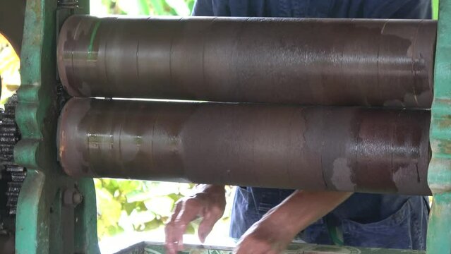 View of manual labor rubber processing is the process by which natural latex is collected from a tree and is manually folded into the desired form through press 4k high resolution quality footage