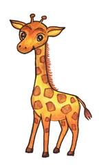 Bright colorful giraffe drawn on paper. Children's character drawing, cartoon animal. Hand drawn color illustration of baby giraffe.