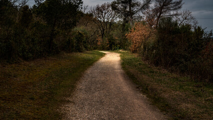 Chemin, Provence, France