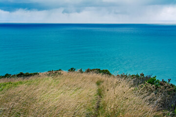 A narrow trail leading through tall grass towards the edge of promontory rising high above calm blue waters of Tasman Sea. Te Toto Gorge Lookout, Raglan, New Zealand