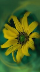 A vibrant yellow flower displaying a prominent green center