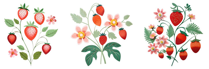 Illustration strawberry plant design set