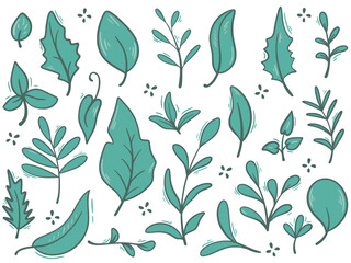 Hand drawn foliage, twigs and herbs set. Green botanical collection of clip art elements. Leaves of different shapes and sizes, vector graphics