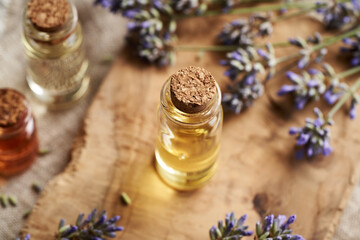 A bottle of aromatherapy essential oil with fresh lavender flowers