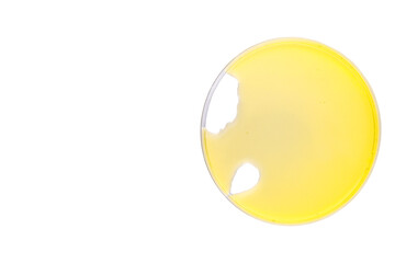 Oil serum droplet on petri dish, its cosmetic product laboratory cosmetic , medicine  microbiology background.