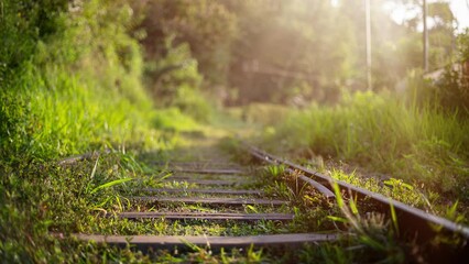A sunlit view of an abandoned railway track overgrown with grass and surrounded by lush greenery, capturing the beauty and tranquility of nature reclaiming man-made structures - Powered by Adobe