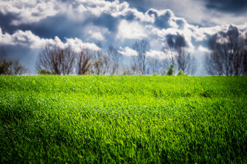 Green grass field after thunderstorm sun light & clouds on sky. Spring wheather thunderstorm sun...