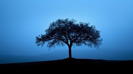 Obraz premium A lone tree stands silhouetted against a blue sky, creating a sense of peace and tranquility.