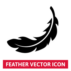 Feather Vector Icon. Object isolated on white.