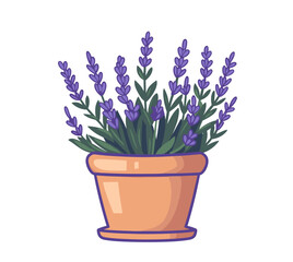 A lavender plant with purple flowers growing in a terracotta pot, illustrated with clean lines and vibrant colors. Flat vector illustration.