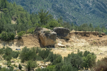 View of landscape with trees in the mountains.