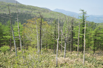 The beautiful view from the top of the Karikachi mountain pass in Hokkaido Japan
