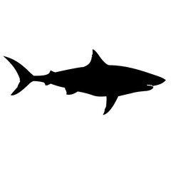 shark silhouette