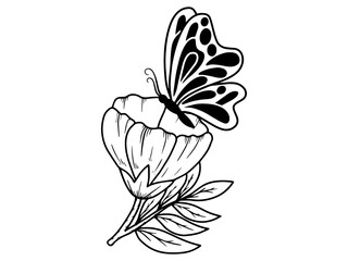 Hand Drawn Flower Butterfly Line Art