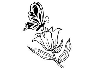 Butterfly Flower Sketch Line Art
