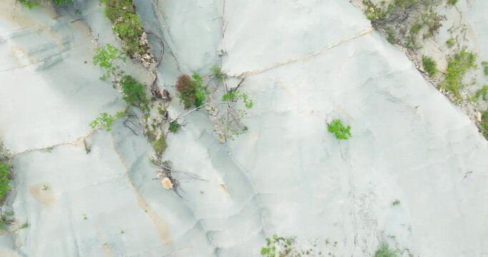 Flysch rock on the hillside, Istra, Croatia