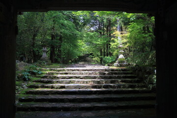 初夏の参道を眺める　（高知県　五台山竹林寺）