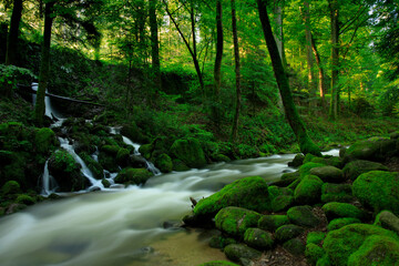 waterfall in the forest