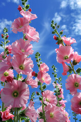 pink Hollyhocks and blue sky generated by AI