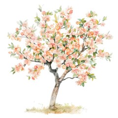 Fototapeta premium The watercolor painting of a peach tree in full bloom