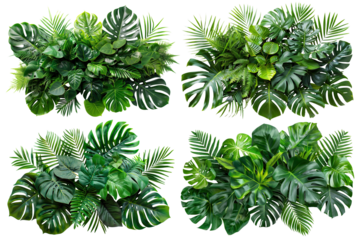 Set of lush green tropical plants bushes (monstera, palm, rubber plant, pine and fern), cut out
