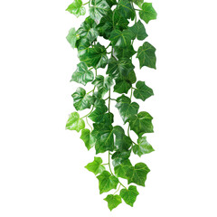 Naklejka premium [Transparent Background PNG]Green Leaves on transparent background