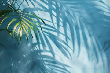 A leafy green palm tree casts a shadow on a blue wall