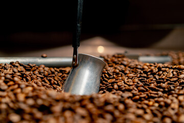 Close-up of a Turkish turk standing in freshly roasted coffee at roasting factory