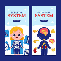 Flat anatomical body vertical banner template set