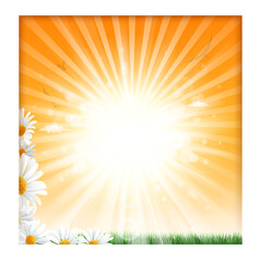 Obraz premium flower garden picnic