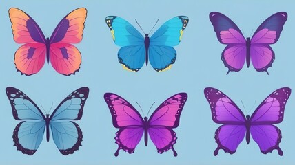 Set of beautiful colored butterfly wings. Isolated background.